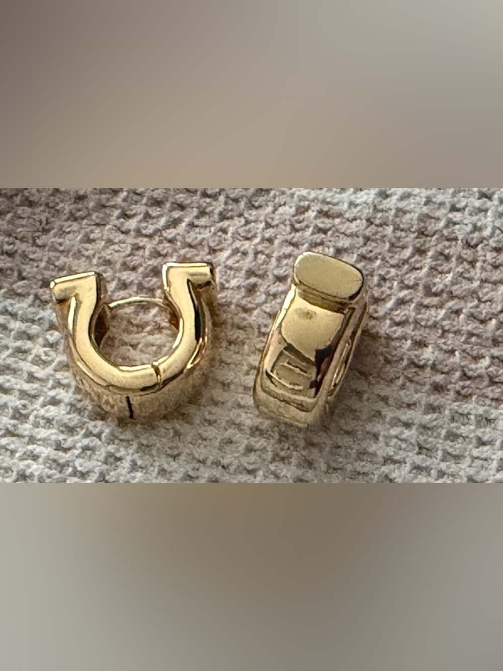 ✨New✨ House of Harlow: Earrings